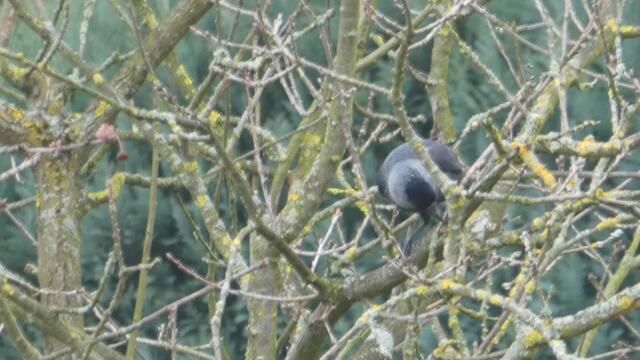 Und den können wir auch noch abzwicken