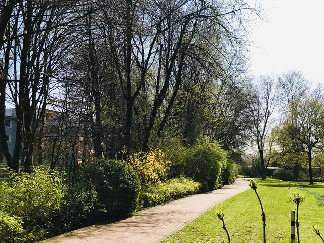 30. März 2019. Im Park.