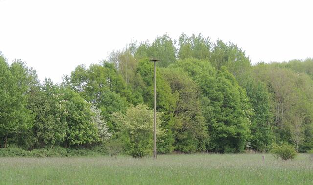 Hier an der Döhrener Mühle wurde der Mast jahrelang nicht benutzt