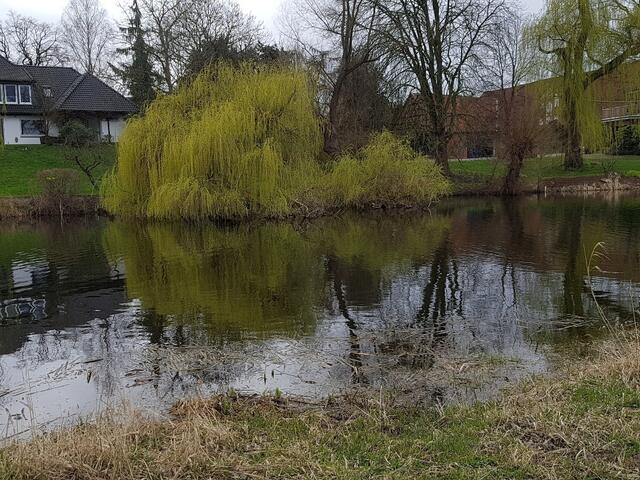 Schloss Ricklingen