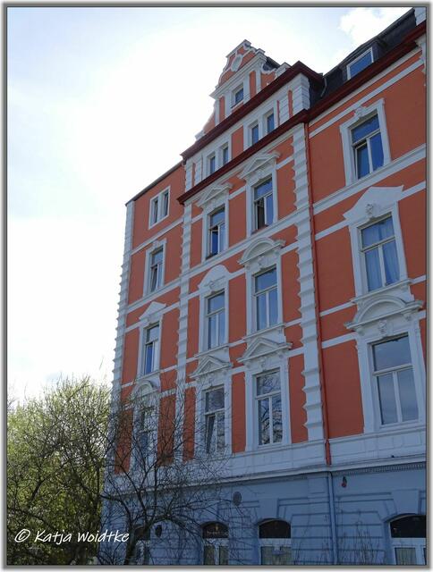 Kirsche in der Gustav-Bratke-Allee in Hannover - Linden-Mitte (Foto: Katja Woidtke)