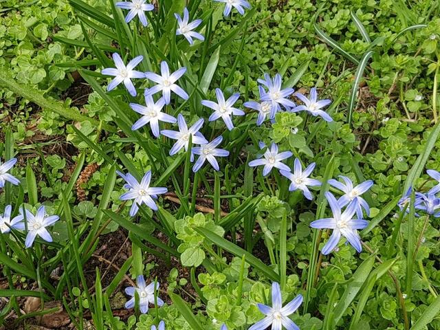 Frühling