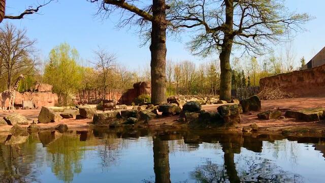 8. April 2019. Erlebnis-Zoo Hannover. Fahrt auf dem Sambesi.