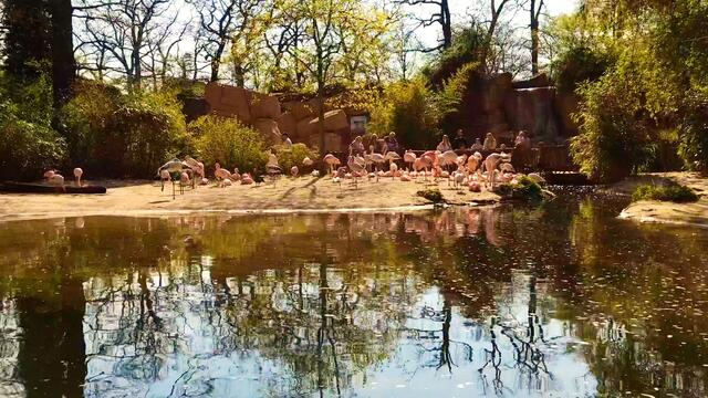8. April 2019. Erlebnis-Zoo Hannover. Fahrt auf dem Sambesi.