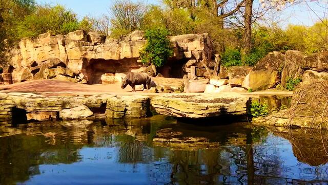 8. April 2019. Erlebnis-Zoo Hannover. Fahrt auf dem Sambesi.