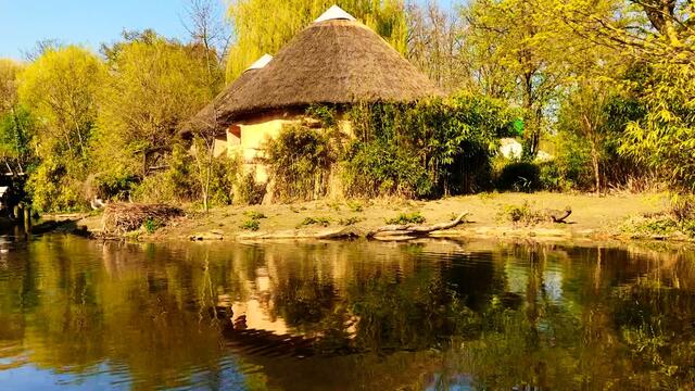8. April 2019. Erlebnis-Zoo Hannover. Fahrt auf dem Sambesi.