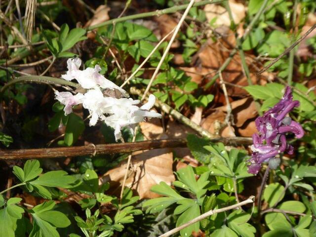 Foto: M. Möbius
