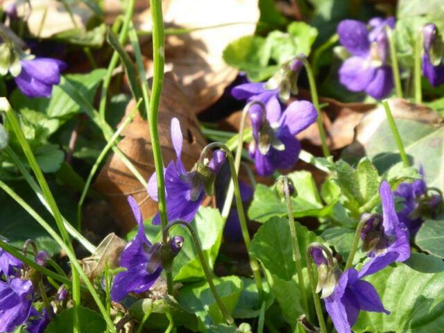 Foto: M. Möbius