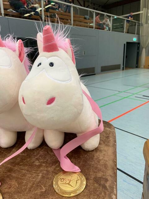 Um diese begehrten Trophäen wurde beim Einhorn-Cup gekämpft