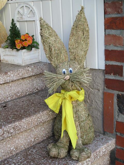 Ein fideler Hase.