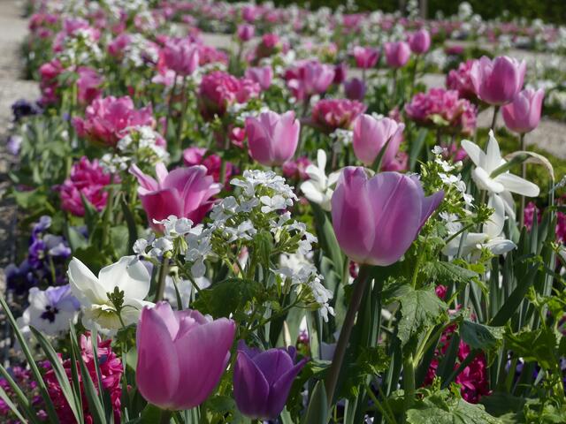 Im Eingangsbereich empfing uns ein Bild in Weiß und Rosa.