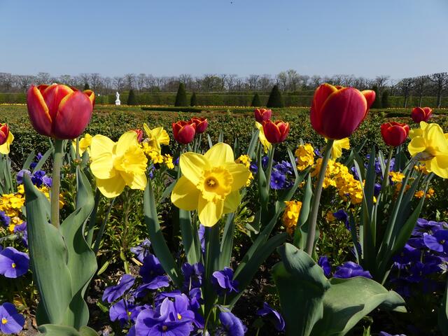 Bunt gemischt