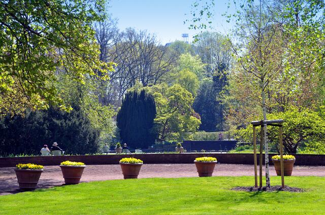 Frühling im hannoverschen Stadtpark