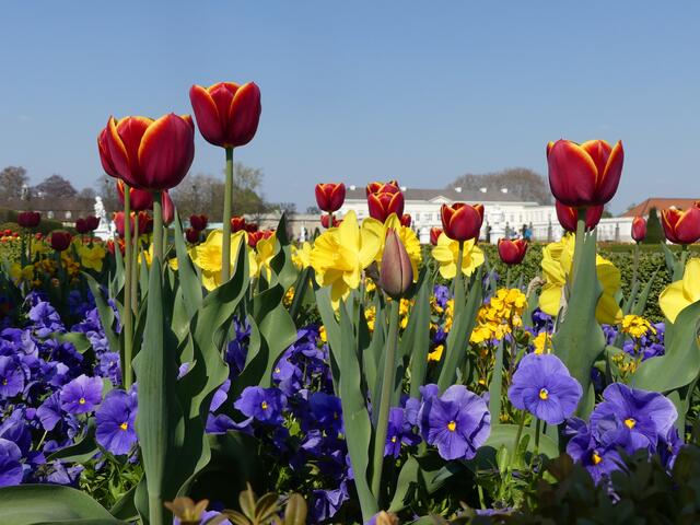 Noch mal bunt