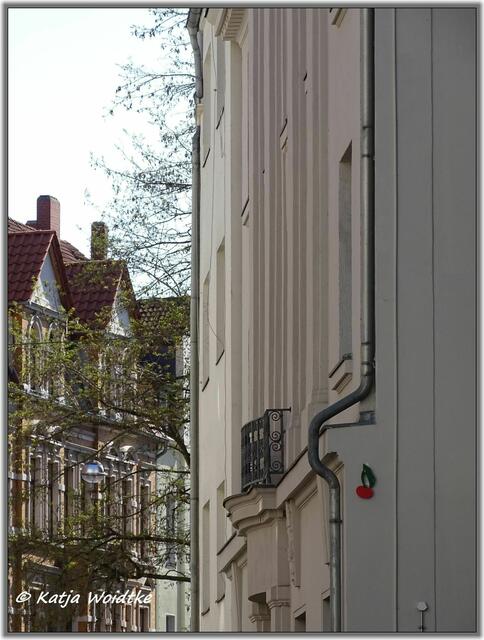 Kirsche in der Edenstraße in Hannover - List (Foto: Katja Woidtke)