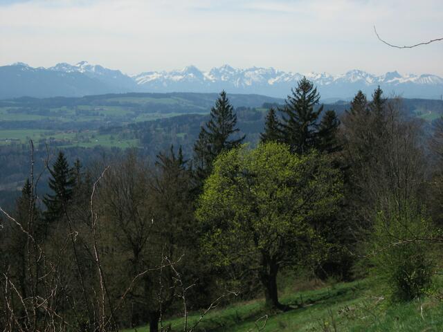 Die Allgäuer Alpen.