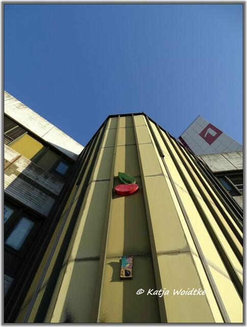 Kirsche am Ihme-Zentrum in Hannover - Linden-Mitte (Foto: Katja Woidtke)
