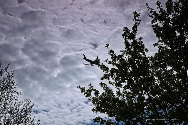Winzig, der gerade aufsteigende Flieger....fast ein Ratebild, lol!