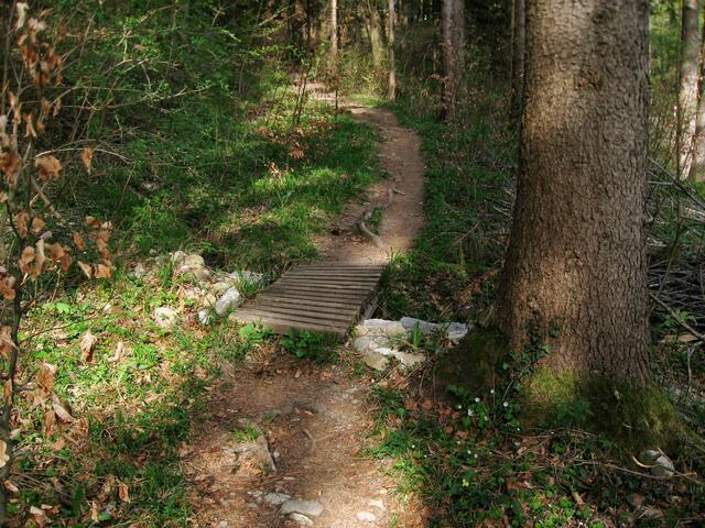 Der Weg ist bestens gepflegt und hergerichtet. Das geschieht im Ehrenamt und auf freiwilliger Basis.