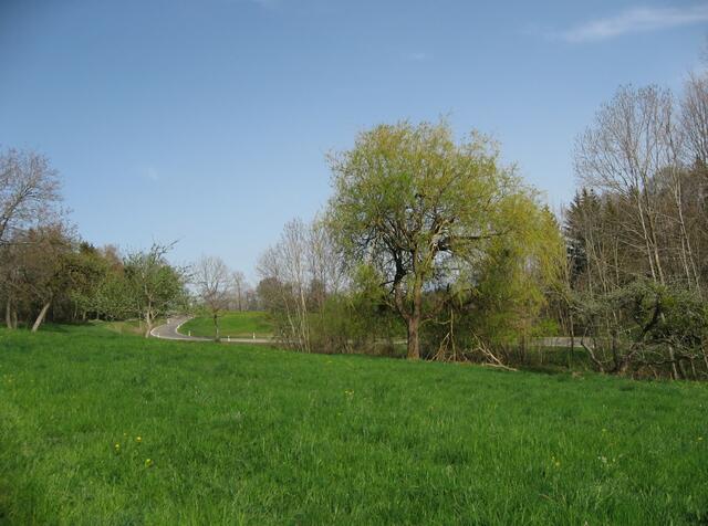 Immer in Sichtweite die kurvenreiche Bergstraße.