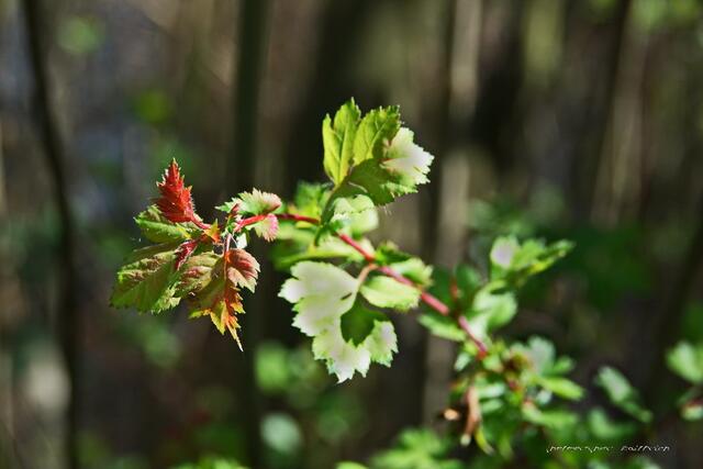 ..ein Farbtupfer..
