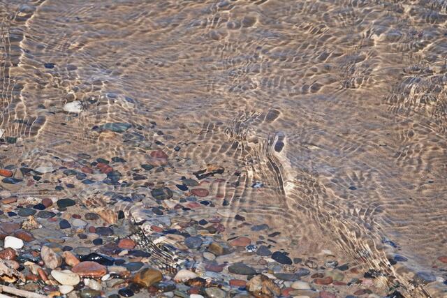 Blick ins Wasser...