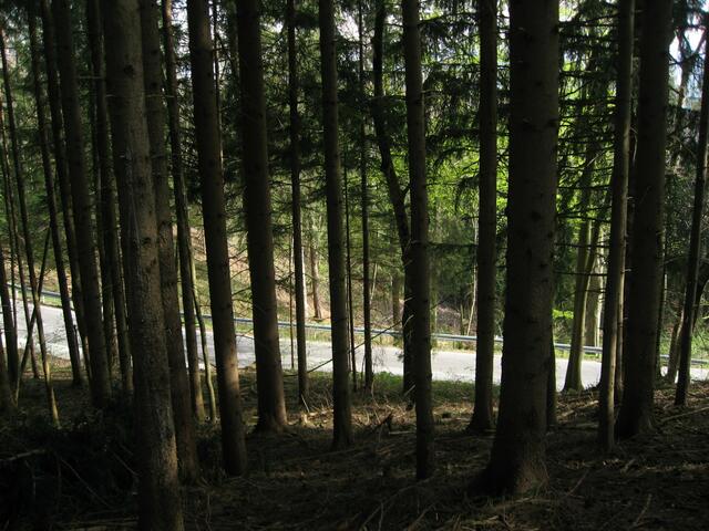 Auf der Bergstraße unter mir, liefern sich Motorradfahrer ihr eigenes, höchst riskantes Rennen. Eben habe ich eine winzige Lücke erwischt für ein schnelles Foto.