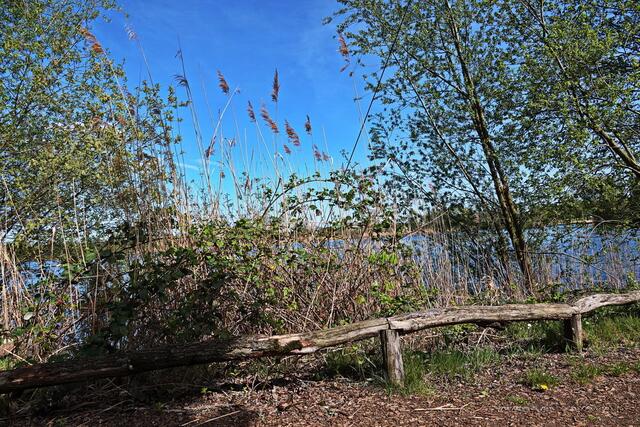 ...der Wanderpfad...