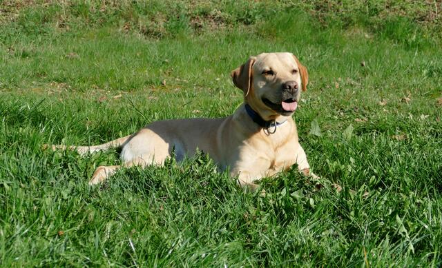 Danke für´s rein schauen! Bis bald .....