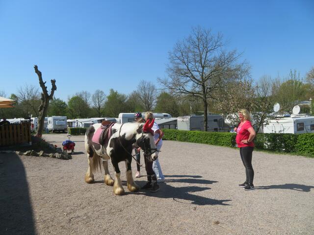 Einzelne Reiter stellen sich ein.