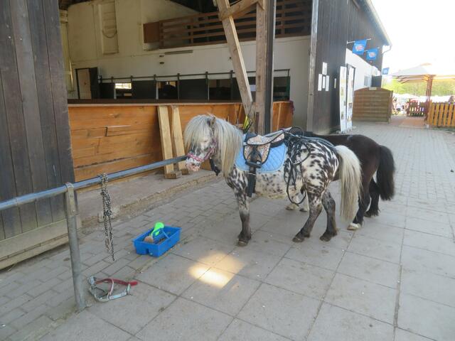 So ein geflecktes habe ich noch nie gesehen.