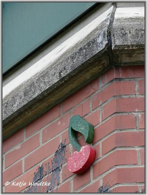 Kirsche am Schneiderberg in Hannover - Nordstadt (Foto: Katja Woidtke)