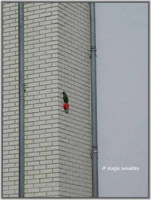 Kirsche in der Gretchenstraße in Hannover - Oststadt (Foto: Katja Woidtke)