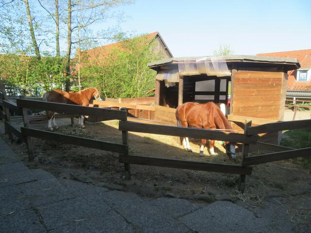 Eine Box mit für die Pferde.