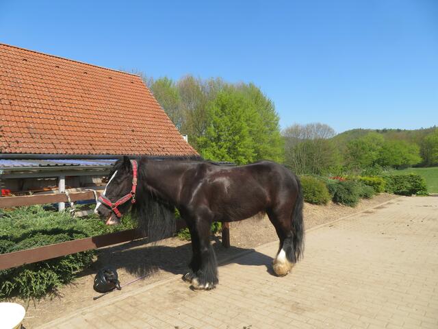 Es glänzt in der Sonne.