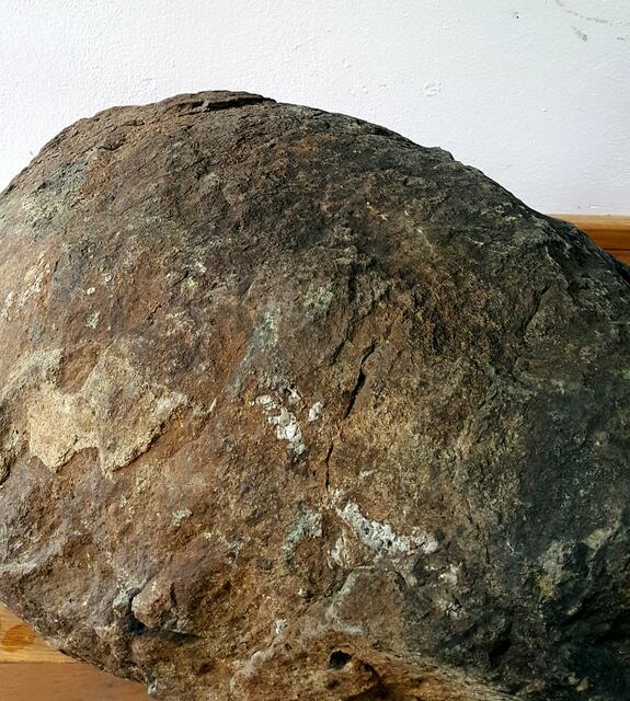 Lava-"Pillow" (Kissenlava) aus dem Erdaltertum (Periode: Devon)