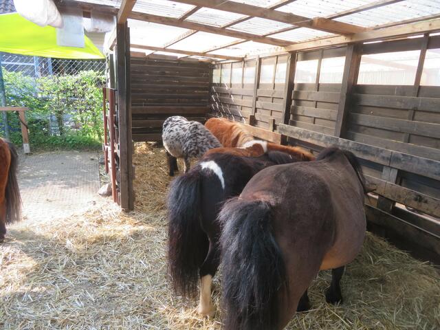 Lassen es sich schmecken.