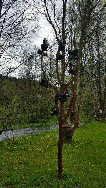 Wander-Schuhbaum