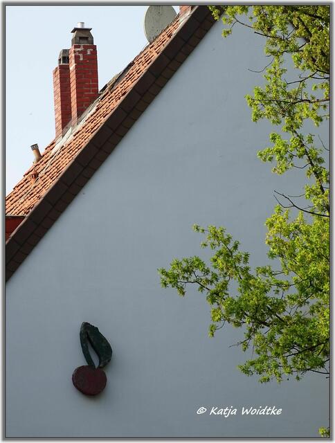 Kirsche in der Kaplanstraße in Hannover - Linde-Mitte (Foto: Katja Woidtke)