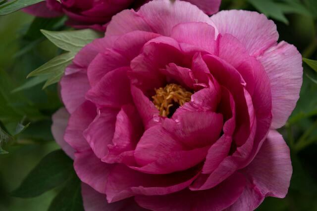 andere Farbe