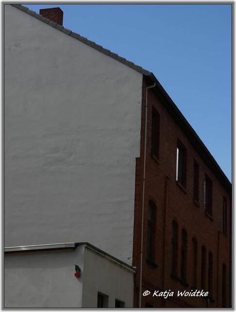Kirsche in der Davenstedter Straße in Hannover - Linden-Mitte (Foto: Katja Woidtke)