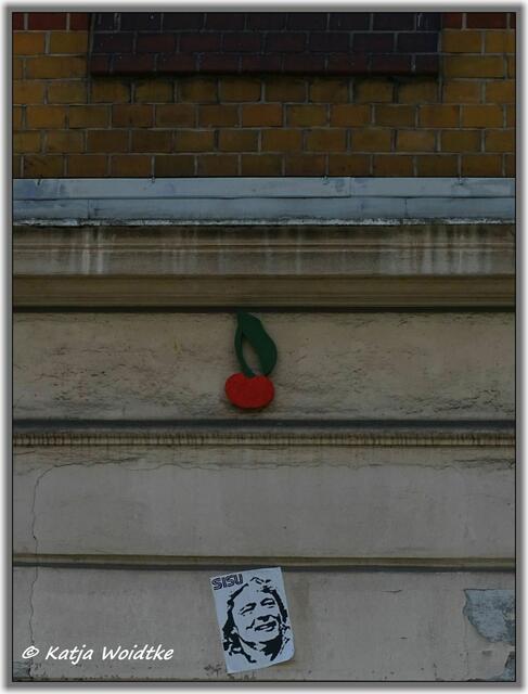 Kirsche in der Nieschlagstraße in Hannover - Linden-Mitte (Foto: Katja Woidtke)