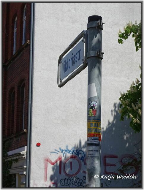 Kirsche ohne Blattwerk in der Viktoriastraße in Hannover - Linden-Nord (Foto: Katja Woidtke)