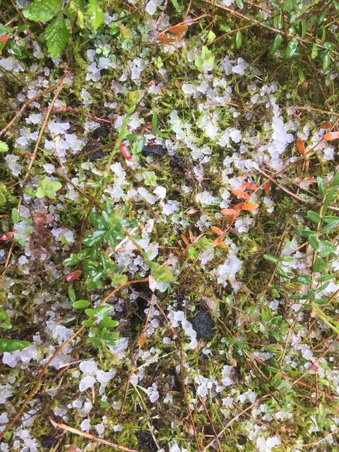 Hagel, aber nicht der aus Holland