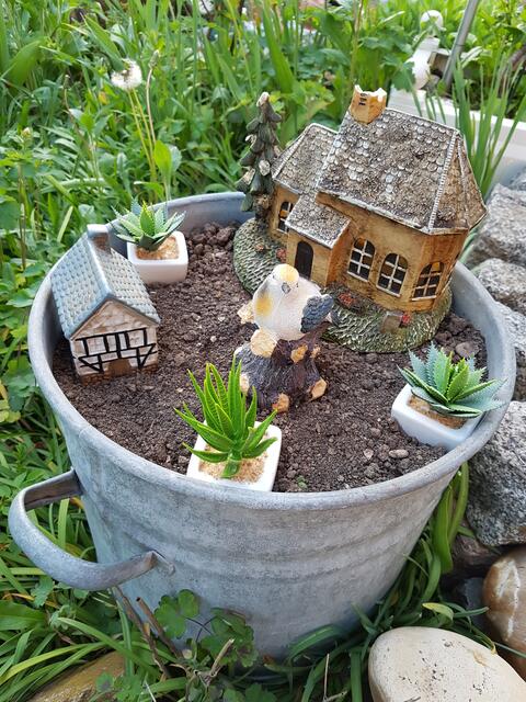 Ein kleiner Beginn von Minigarten---die Einrichtung ist noch nicht, wie es bleiben soll !