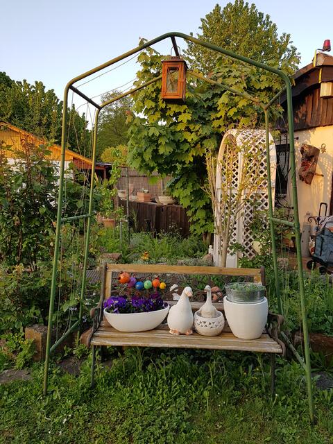 Den alten Rosenbogen wollte ich nicht wegwerfen --und hier hat er mir noch gut gefallen !