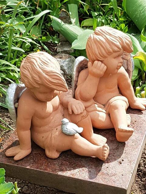 sie sind schön braun in der Sonne