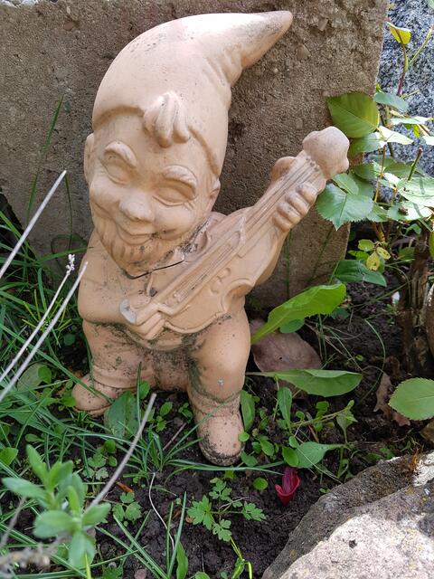 uralter Zwerg,von meinem Garten--Vorgänger ---- der leider defekt ist, Kopf ist ab ---nur lose sitzt er noch---werde ich aber wieder kleben !