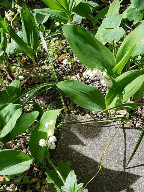 Schwierige Ecke zum Fotos machen !