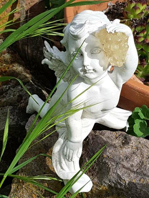 der Engel Bachus ist ein Sonnenanbeter !